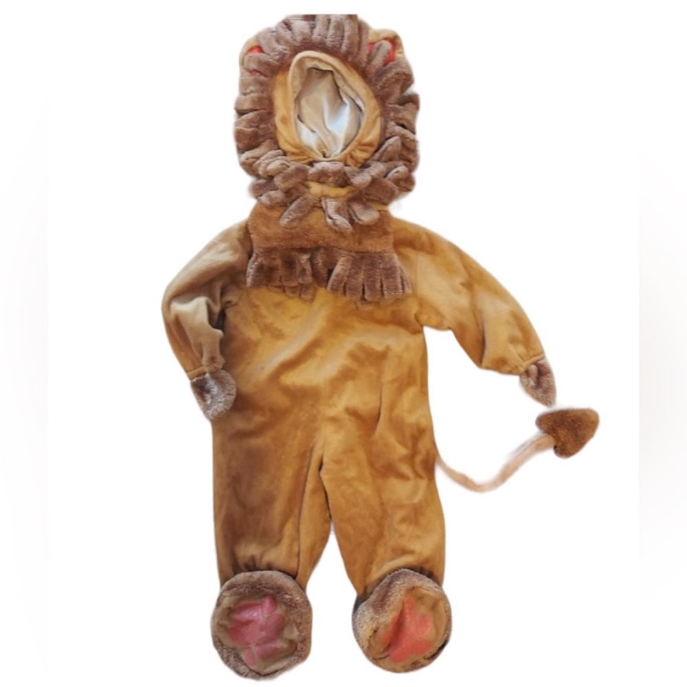 Dress Up Costume Little Lion King Halloween Size NB- 6 Months